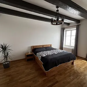 Apartmán Rezidence U Vankovky, Brno